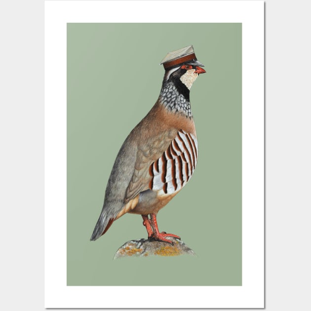 Red-legged partridge Wall Art by Mikhail Vedernikov